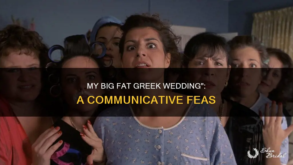 how does my big fat greeek wedding relate to communication