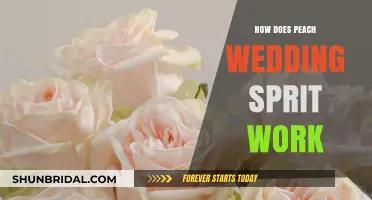 Understanding Peach Wedding Spirit: Mechanics, Traditions, and Cultural Significance
