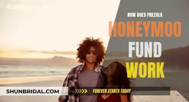 Prezola Honeymoon Fund: How Does It Work?