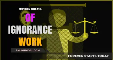 Understanding Rawls' Veil of Ignorance: A Fairness Principle Explained