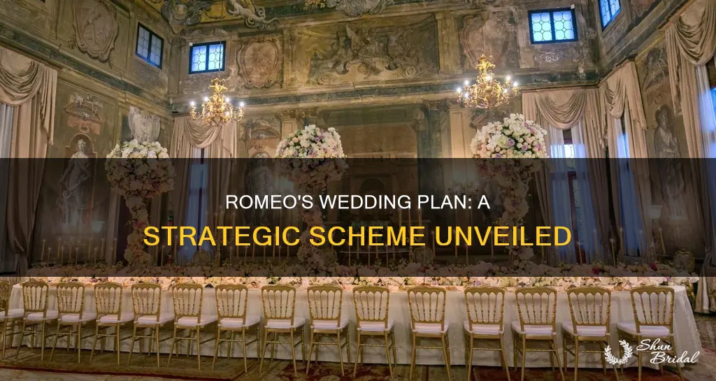 how does romeo plan to arrange his wedding scene 4