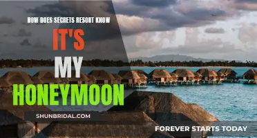 Honeymoon Secrets: How Resorts Uncover Your Special Getaway