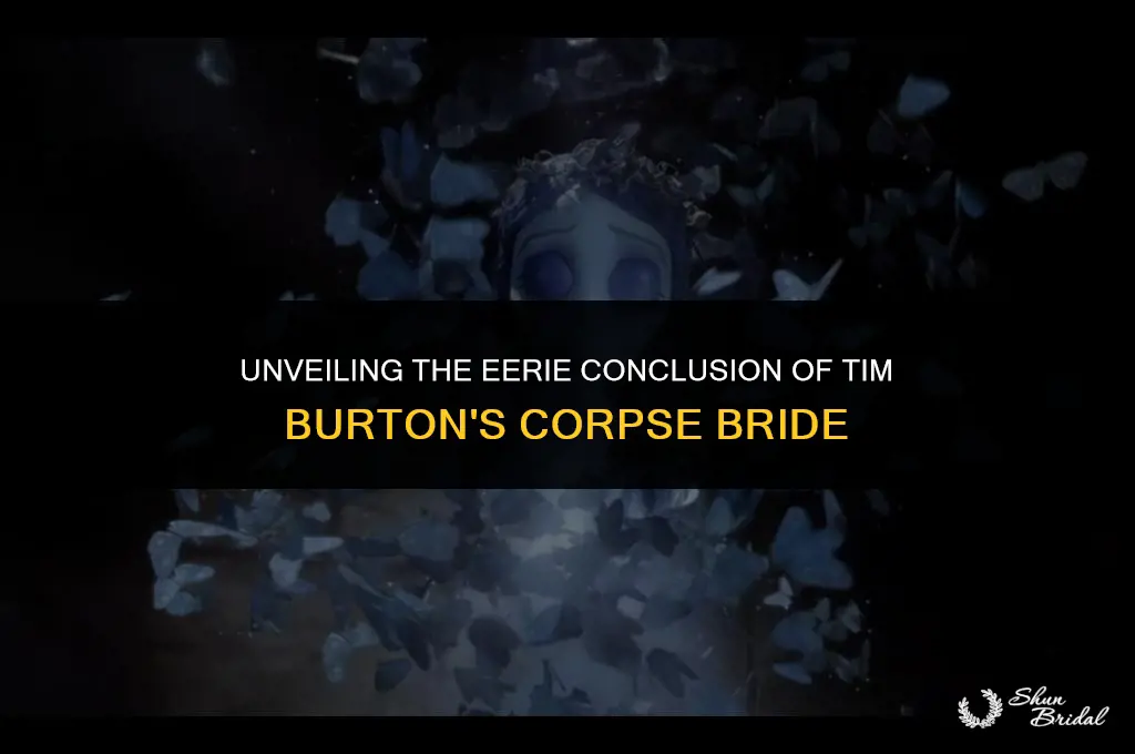 how does the corpse bride end