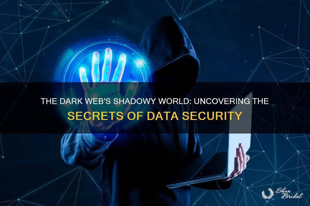 how does the dark wed relate to data security