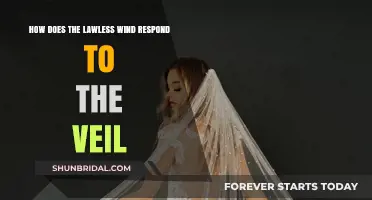 Lawless Wind's Defiance: Unveiling the Response to the Veil's Mystery
