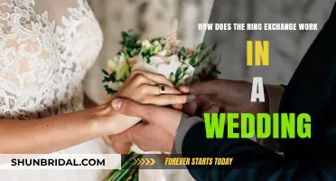 The Significance of Exchanging Rings at Your Wedding