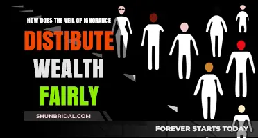 Veil of Ignorance: Ensuring Fair Wealth Distribution for All