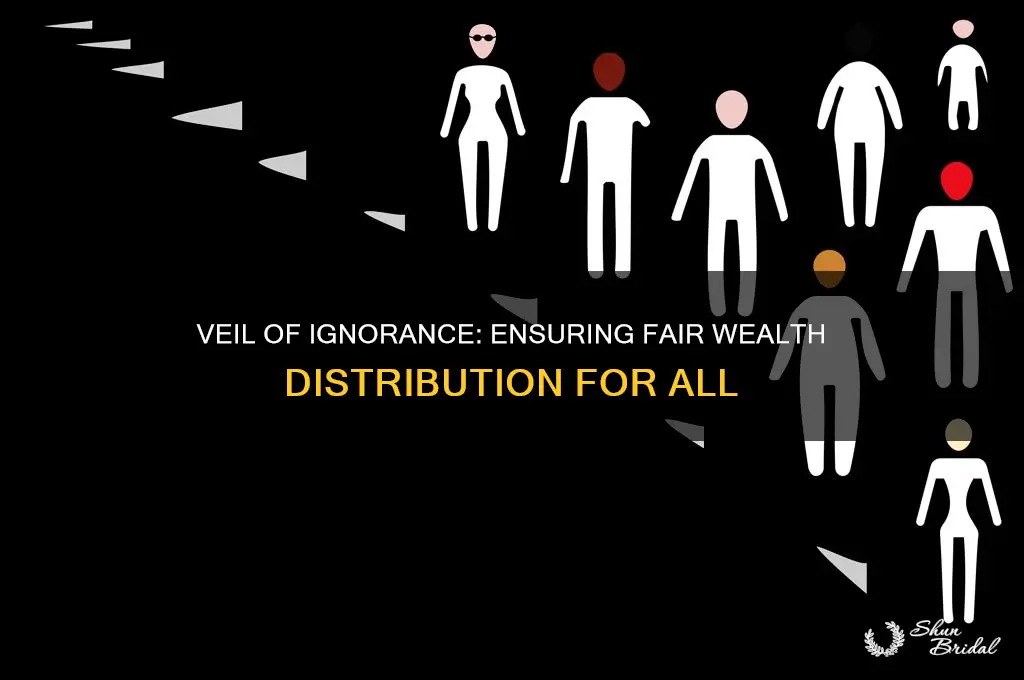 how does the veil of ignorance distibute wealth fairly