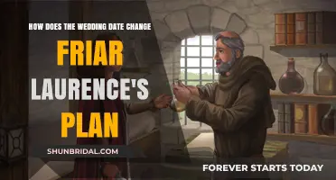 A Date with Disaster: Friar Laurence's Plan Unravels