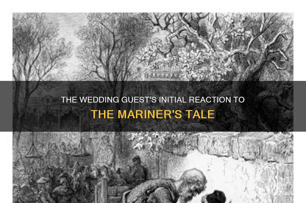 how does the wedding guest react to the mariner initially