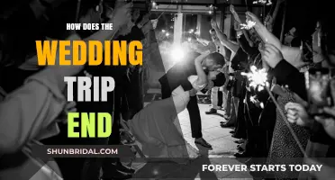 The Final Chapter: How Every Wedding Trip Comes to an End
