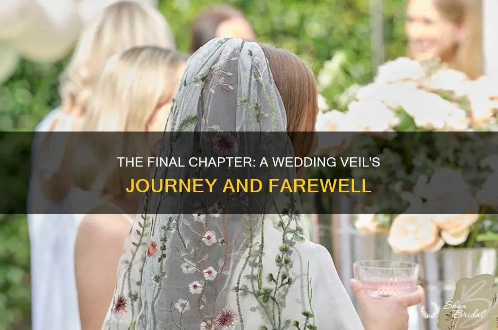 how does the wedding veil journey end