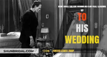 Victor Frankenstein's Turmoil: Emotional Struggles Before His Wedding Day