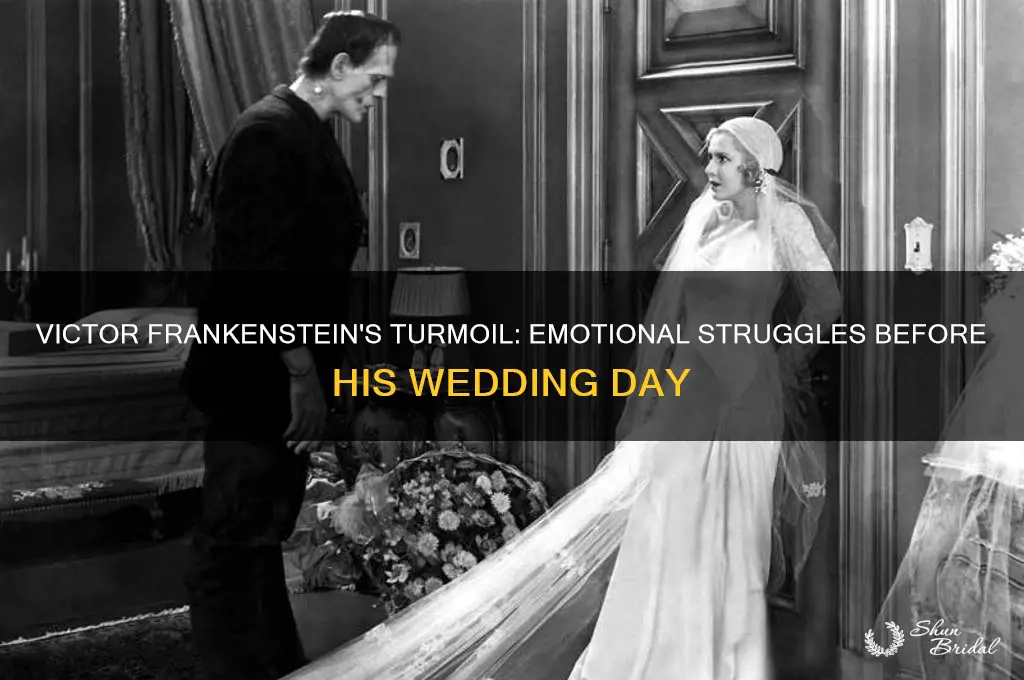 how does victor frankenstein feel leading up to his wedding