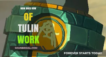 Understanding the Vow of Tulin: Mechanics, Benefits, and Practical Application