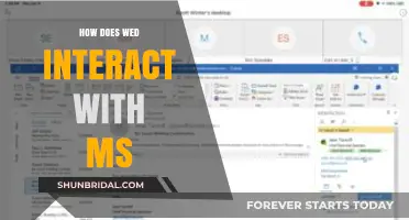 Understanding the Complex Interaction Between the Web and Microsoft Systems