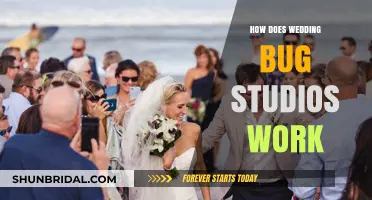 How Wedding Bug Studios Captures Your Special Day: A Guide