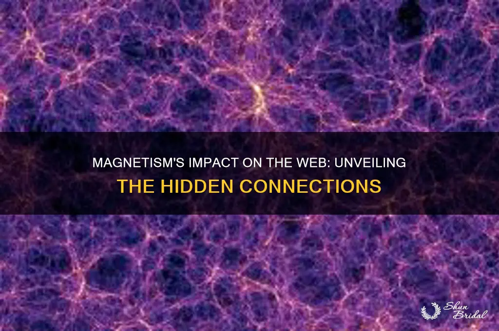 how dose magenise effect the wed