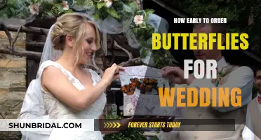Perfect Timing: Ordering Live Butterflies for Your Dream Wedding
