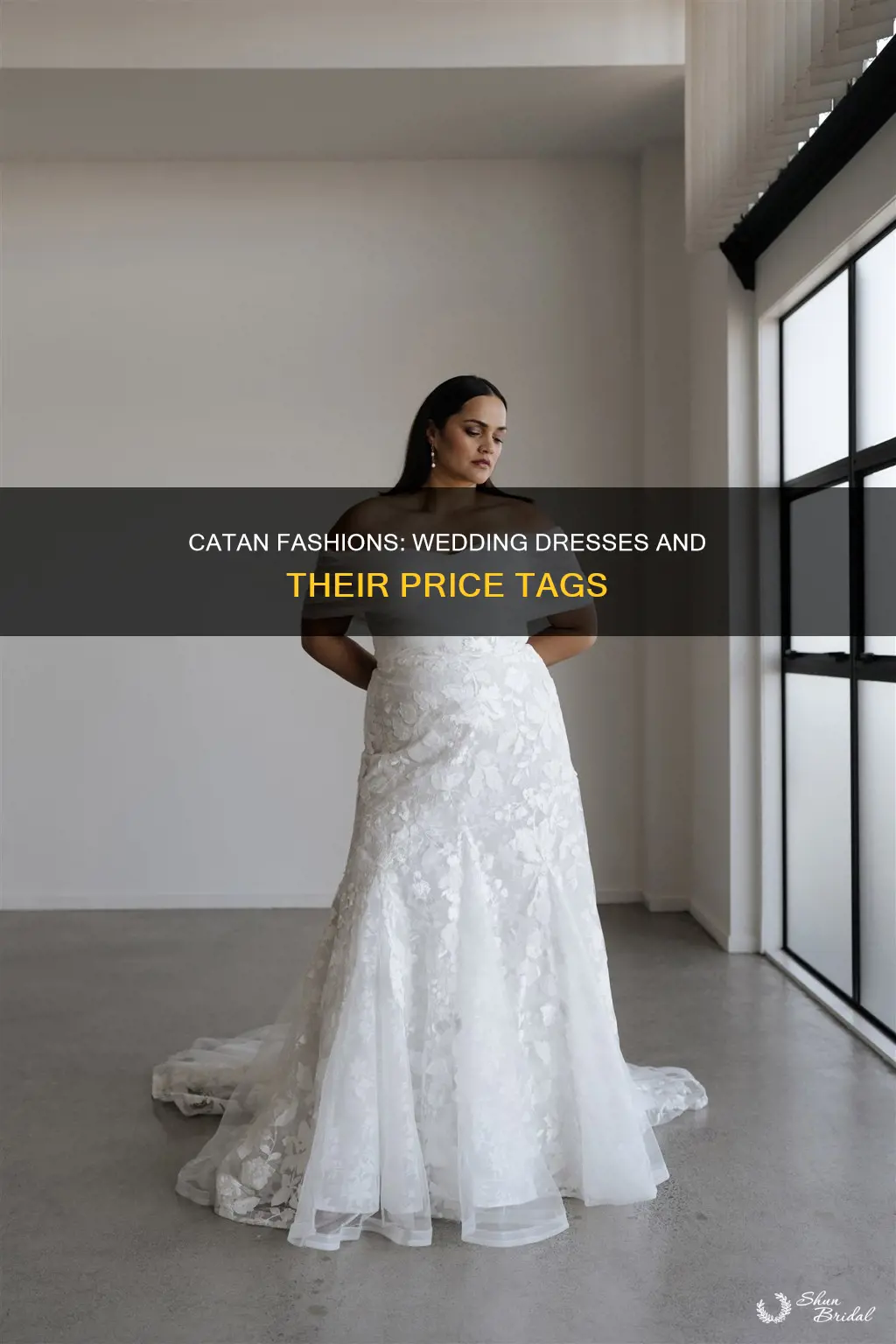 how expensive are catan fashions wedding dresses