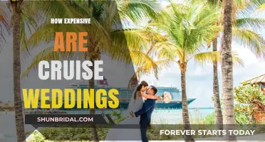 Cruise Wedding Costs: Budget-Friendly or Luxury Splurge?