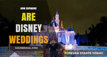 Disney Weddings: Unveiling the Magical but Pricey Fairy Tale Costs