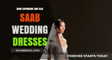 Elie Saab Wedding Dresses: A Costly Affair