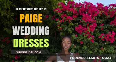Hayley Paige Wedding Dresses: What's the Cost?