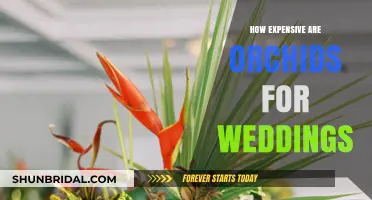Orchid Wedding Costs: Are These Floral Beauties Breaking the Bank?
