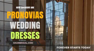 Pronovias Wedding Dresses: Are They Worth the Price?