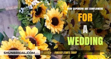 Sunflower Wedding Costs: Budget-Friendly or Pricey Floral Choice?