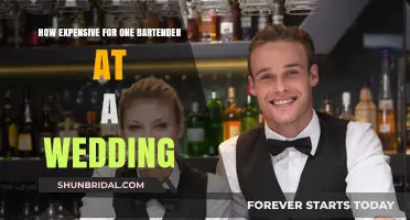 Wedding Bartender Costs: Budgeting for One Mixologist at Your Reception
