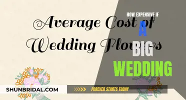 The High Cost of "I Do": A Look at Big Wedding Budgets