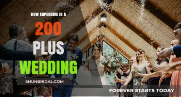 The Real Cost of a 200+ Guest Wedding: Budget Breakdown