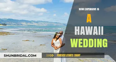Hawaii Wedding Costs: Budgeting for Your Tropical Dream Celebration
