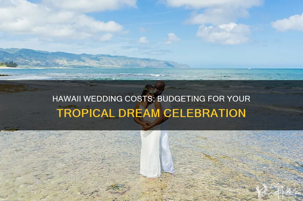how expensive is a hawaii wedding