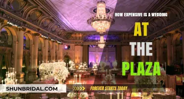 The Plaza Wedding Cost: Luxury, Expenses, and Budget Breakdown