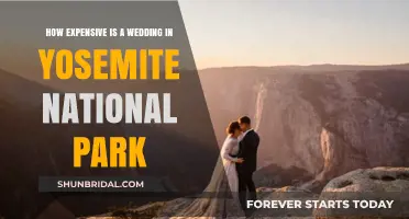 Yosemite National Park Wedding Costs: Budgeting for Your Dream Celebration