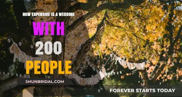 The Cost of a 200-Guest Wedding: Budget Breakdown & Tips