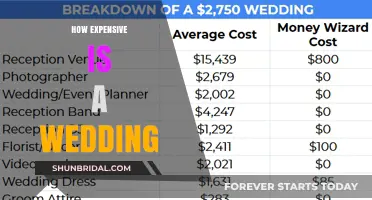 The True Cost of Tying the Knot