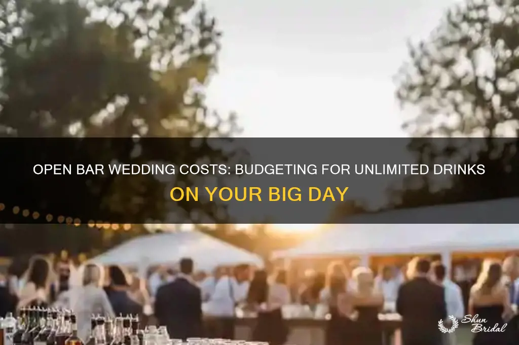 how expensive is an open bar at a wedding