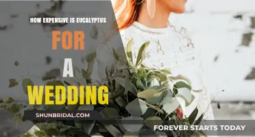 Eucalyptus Wedding Decor: Budget-Friendly or Costly Choice?