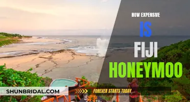 Fiji Honeymoon: An Affordable Tropical Paradise?
