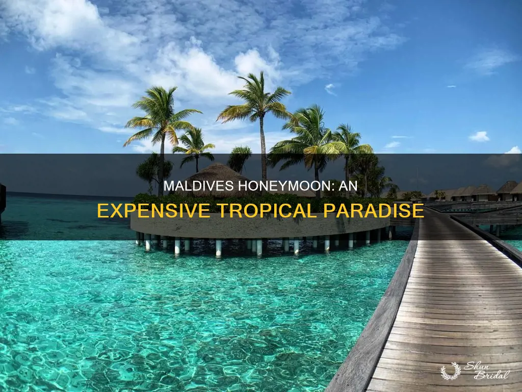 how expensive is maldives honeymoon