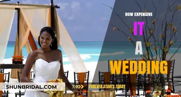 The Shocking Cost of Tying the Knot: Wedding Expenses Explained