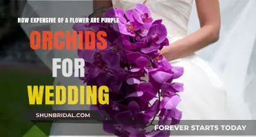 Purple Orchids for Weddings: Are They a Luxurious Expense?