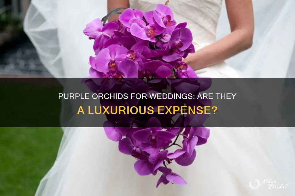 how expensive of a flower are purple orchids for wedding