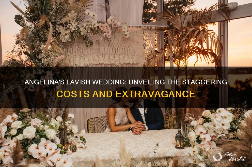 how expensive was angelina