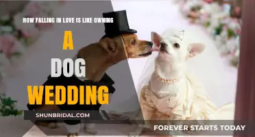Love's Leash: How Falling in Love Mirrors a Dog Wedding