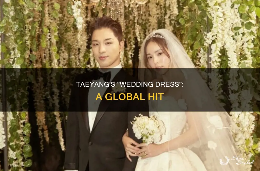 how famous is taeyang wedding dress